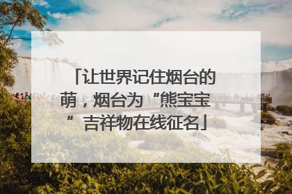 让世界记住烟台的萌，烟台为“熊宝宝”吉祥物在线征名