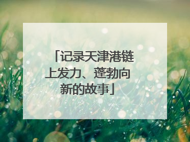 记录天津港链上发力、蓬勃向新的故事