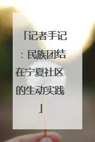 记者手记：民族团结在宁夏社区的生动实践