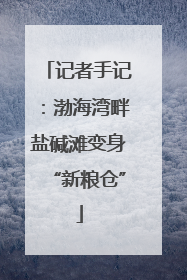 记者手记：渤海湾畔盐碱滩变身“新粮仓”