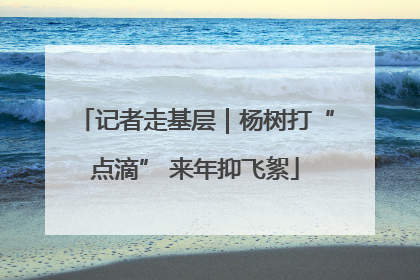 记者走基层｜杨树打“点滴” 来年抑飞絮