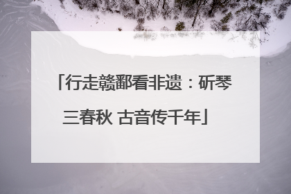 行走赣鄱看非遗：斫琴三春秋 古音传千年
