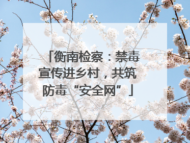 衡南检察：禁毒宣传进乡村，共筑防毒“安全网”