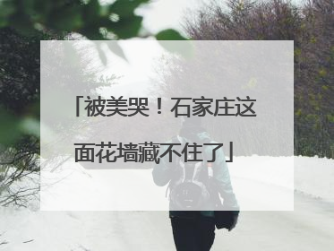 被美哭！石家庄这面花墙藏不住了