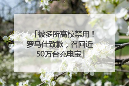 被多所高校禁用！罗马仕致歉，召回近50万台充电宝