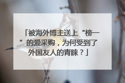 被海外博主送上“榜一”的爱采购，为何受到了外国友人的青睐？