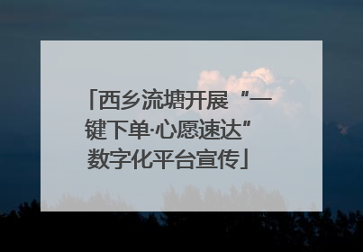 西乡流塘开展“一键下单·心愿速达”数字化平台宣传