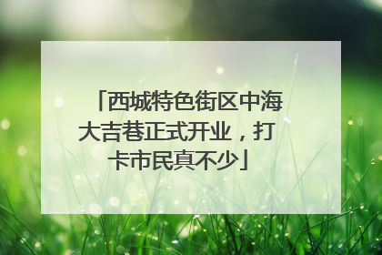 西城特色街区中海大吉巷正式开业，打卡市民真不少