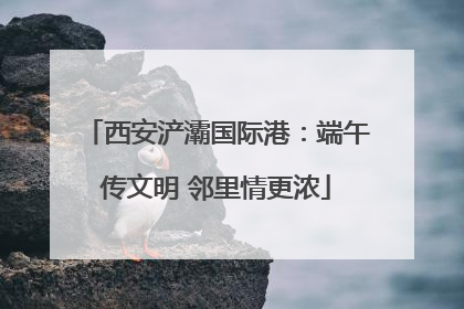 西安浐灞国际港：端午传文明 邻里情更浓