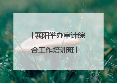 襄阳举办审计综合工作培训班