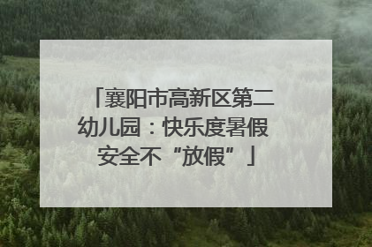 襄阳市高新区第二幼儿园：快乐度暑假 安全不“放假”