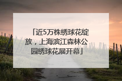 近5万株绣球花绽放，上海滨江森林公园绣球花展开幕