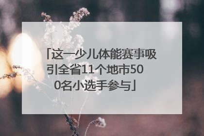 这一少儿体能赛事吸引全省11个地市500名小选手参与
