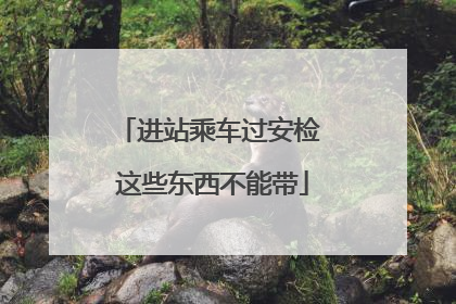 进站乘车过安检 这些东西不能带