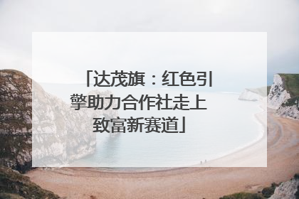 达茂旗：红色引擎助力合作社走上致富新赛道
