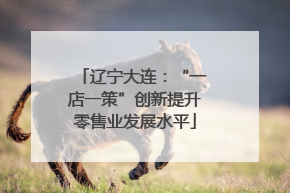 辽宁大连：“一店一策”创新提升零售业发展水平