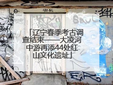 辽宁春季考古调查结束——大凌河中游再添44处红山文化遗址