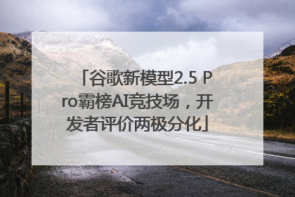 谷歌新模型2.5 Pro霸榜AI竞技场，开发者评价两极分化