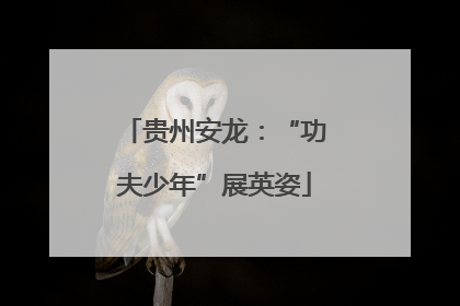 贵州安龙：“功夫少年”展英姿