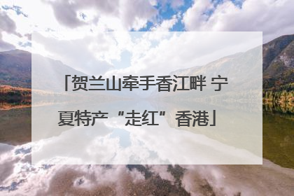 贺兰山牵手香江畔 宁夏特产“走红”香港
