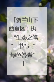 贺兰山下西夏区：执“生态之笔” 书写“绿色答卷”