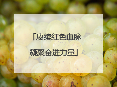 赓续红色血脉 凝聚奋进力量