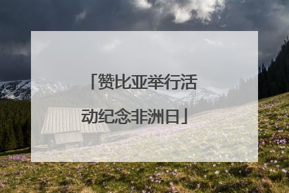 赞比亚举行活动纪念非洲日