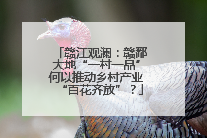 赣江观澜：赣鄱大地“一村一品”何以推动乡村产业“百花齐放”？
