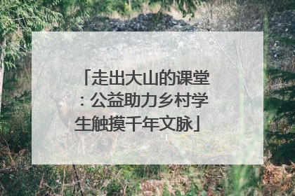走出大山的课堂：公益助力乡村学生触摸千年文脉