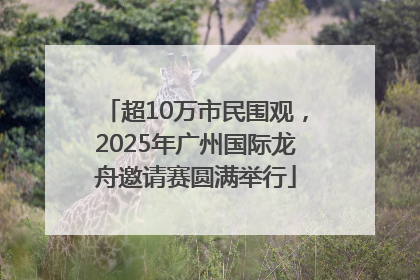 超10万市民围观，2025年广州国际龙舟邀请赛圆满举行