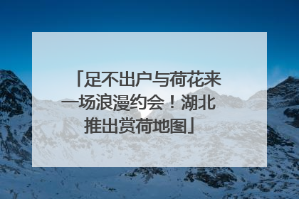 足不出户与荷花来一场浪漫约会！湖北推出赏荷地图