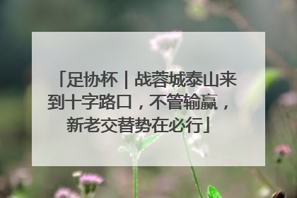 足协杯｜战蓉城泰山来到十字路口，不管输赢，新老交替势在必行