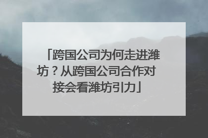 跨国公司为何走进潍坊？从跨国公司合作对接会看潍坊引力