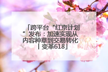 跨平台“红京计划”发布：加速实现从内容种草到交易转化丨变革618