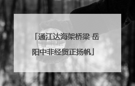 通江达海架桥梁 岳阳中非经贸正扬帆