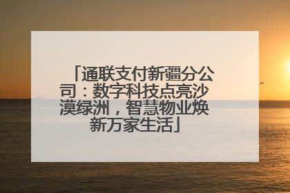 通联支付新疆分公司：数字科技点亮沙漠绿洲，智慧物业焕新万家生活