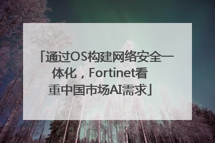 通过OS构建网络安全一体化，Fortinet看重中国市场AI需求