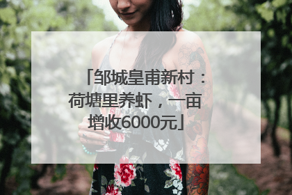 邹城皇甫新村：荷塘里养虾，一亩增收6000元