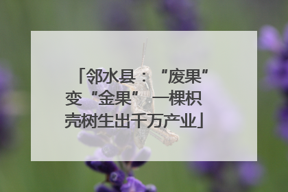邻水县：“废果”变“金果” 一棵枳壳树生出千万产业