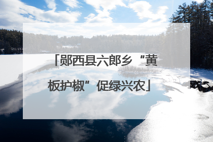 郧西县六郎乡“黄板护椒”促绿兴农