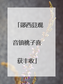 郧西县观音镇桃子喜获丰收