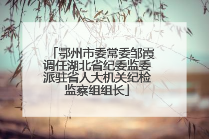 鄂州市委常委邹霞调任湖北省纪委监委派驻省人大机关纪检监察组组长