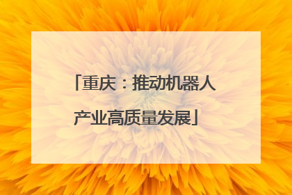重庆：推动机器人产业高质量发展