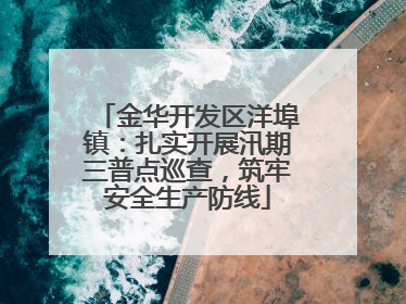 金华开发区洋埠镇：扎实开展汛期三普点巡查，筑牢安全生产防线