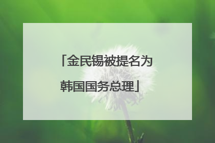 金民锡被提名为韩国国务总理