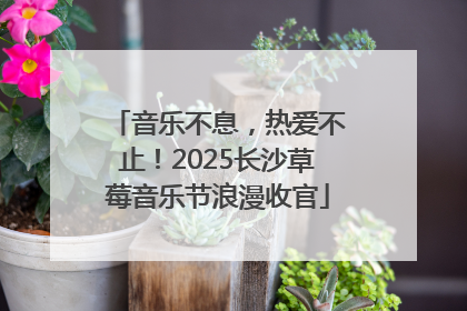 音乐不息，热爱不止！2025长沙草莓音乐节浪漫收官