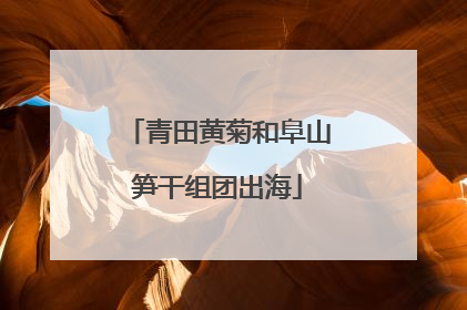 青田黄菊和阜山笋干组团出海
