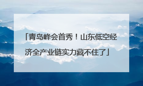 青岛峰会首秀！山东低空经济全产业链实力藏不住了