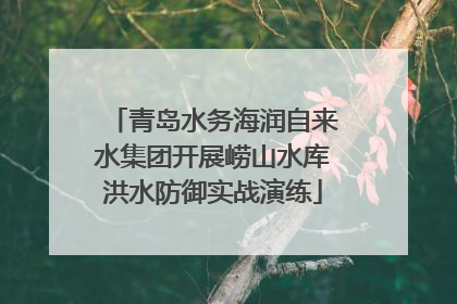 青岛水务海润自来水集团开展崂山水库洪水防御实战演练