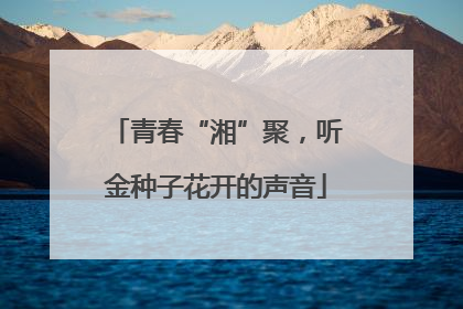 青春“湘”聚，听金种子花开的声音